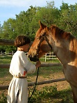 Мальчик и конь