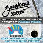 "Загорский хоккей" благотворительный турнир в поддержку Василисы Уткиной