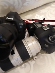 Появились первые фотографии Canon EOS 5D Mark III