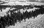 Сталинград. Пленные немецкие солдаты. 1943