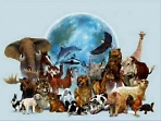  Клуб по экологии "Живи в согласии с природой" "Всемирный день защиты животных" Познавательная программа. 