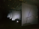 Новое событие арт-проекта Театральный Квартирник   - седьмой спектакль - "Иранская Конференция" по пьесе Ивана Вырыпаева. 