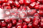 Anticafe GRANAT,  г. Сергиев Посад - 1 год 
