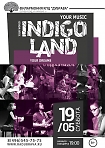 Концерт Indigo Land в рамках акции «Ночь музеев» 