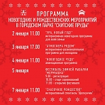 Программа Новогодних и Рождественских мероприятий в парке "Скитские пруды"
