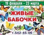 Выставка живых тропических бабочек с 11 до 19 часов (кроме вых. 24 февр. 3 и 17 марта)