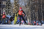 Лыжный марафон «Николов Перевоз» пройдёт в Пересвете 2 февраля