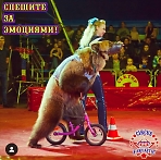 Цирк Fantastic в Сергиевом Посаде
