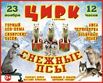 Балтийский цирк  с программой «Снежные псы» 