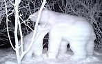 24 и 25 февраля, в Этнопарке "Кочевник" состоится пленэр резчиков по снегу!