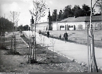 Дорога к парку 1950-1955 