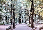 Где-то в парке 1975-1986 