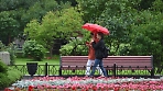 Дожди и похолодание придут в Московский регион на этой неделе