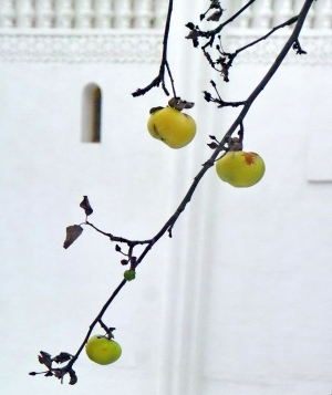 В лавре
