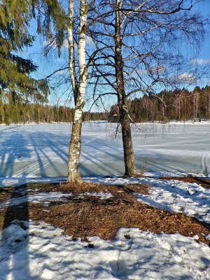 На Лесном озере потемнел снег, рыбаков и пешеходов уже не видно...