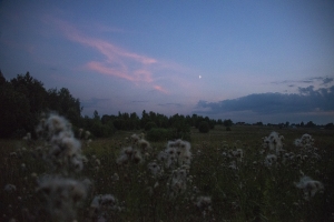 Лунный вечер и бодяг