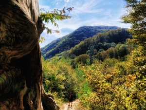 На пути к лунному камню