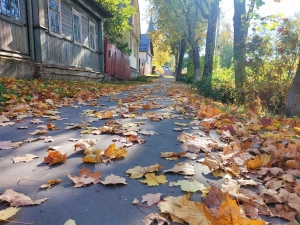 Осенний тротуар