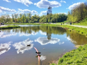 Александров, пруд внизу парка