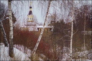 Вид на Боголюбовскую церковь от Скита