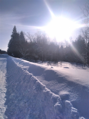 По зимней дороге в солнечный день