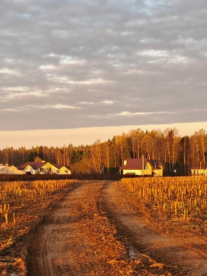 В  рассветных лучах