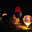 Fiestival_aerostatov_2009_204.JPG