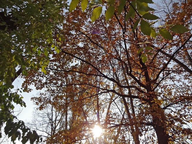 В Долгопе - тоже Осень.. 