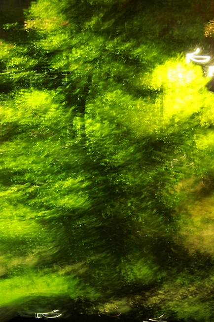 Зеленый шум.