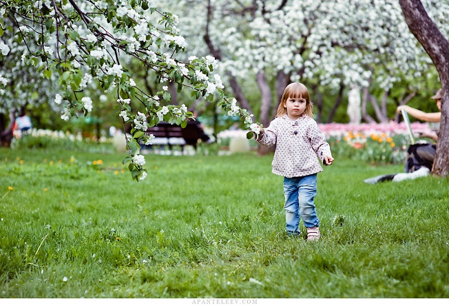 Девочка в яблоневом саду