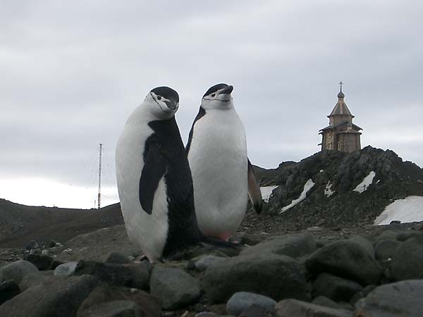 Антарктида. Церковь Святой Троицы