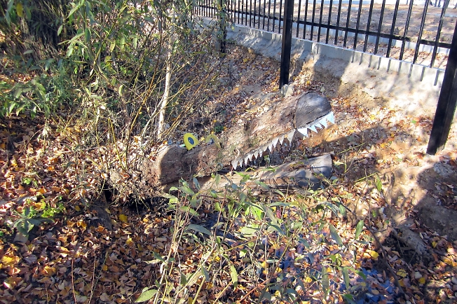 Парк "Покровский" в Хотькове охраняется крокодилами