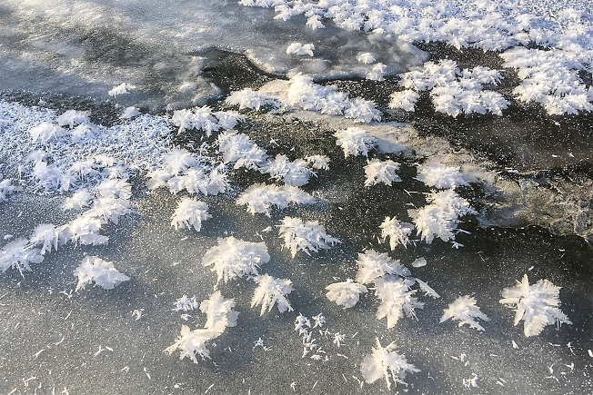 Ледяные цветы на льду реки