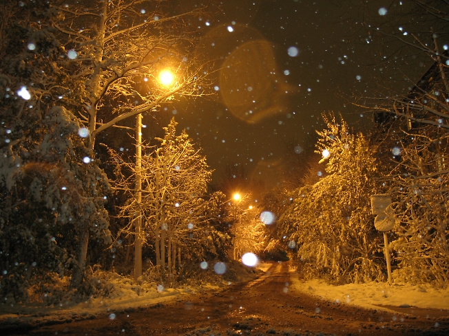 Первый снег 2007