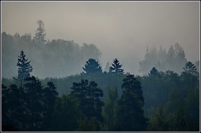 Туман с Лесного озера