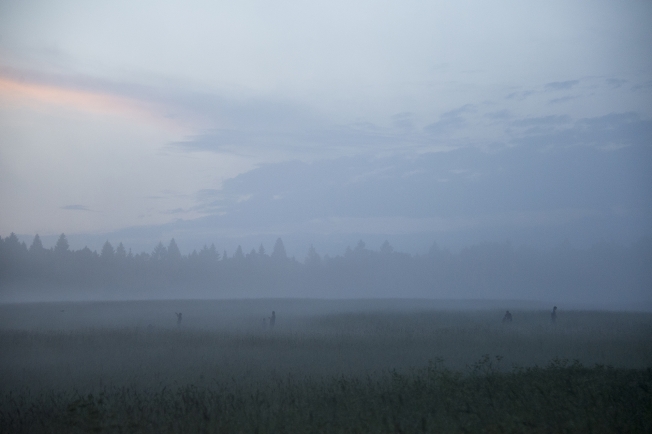 Прогулка в тумане