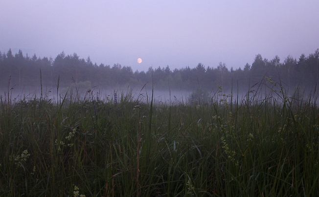 Туманный восход луны
