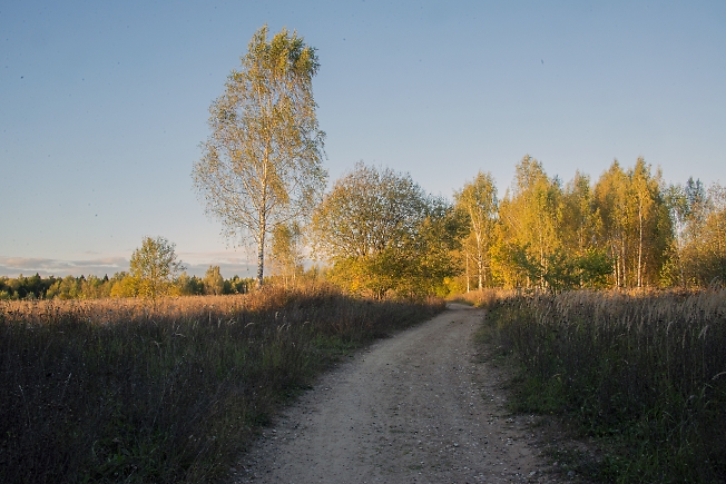 Осенняя дорога