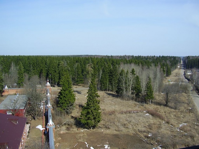 Черниговский лес