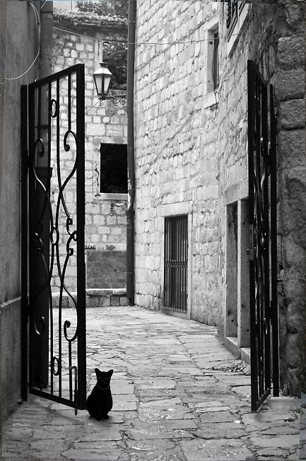 кошка, охраняющая вход в город