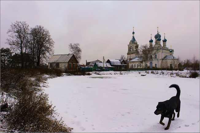 Черный пес у пруда в Жестылево