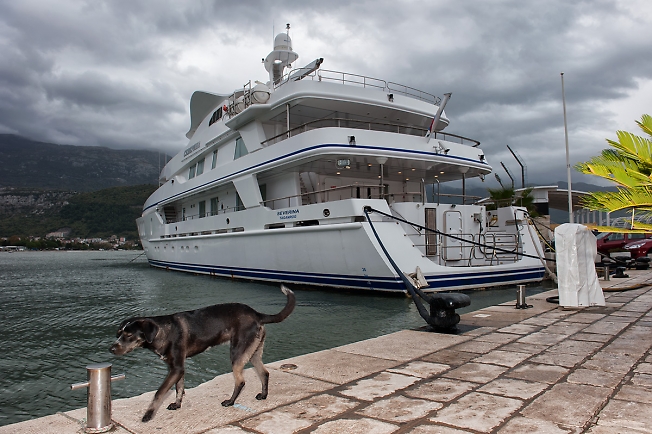 Черный будванский пес на фоне яхты Северина