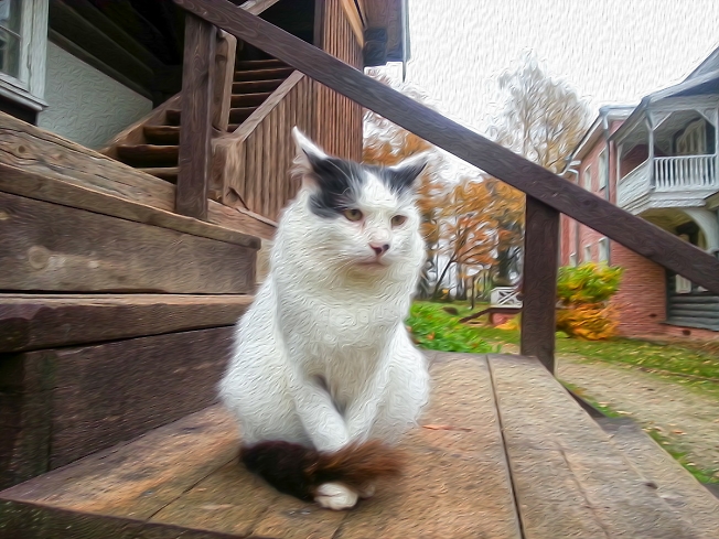 Грустная кошка на ступенях в усадьбе Мураново