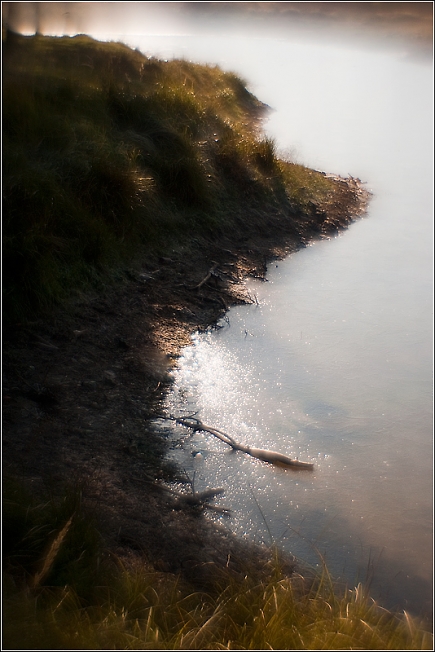 Грустный ёжик на берегу замерзшего озерца Коровка