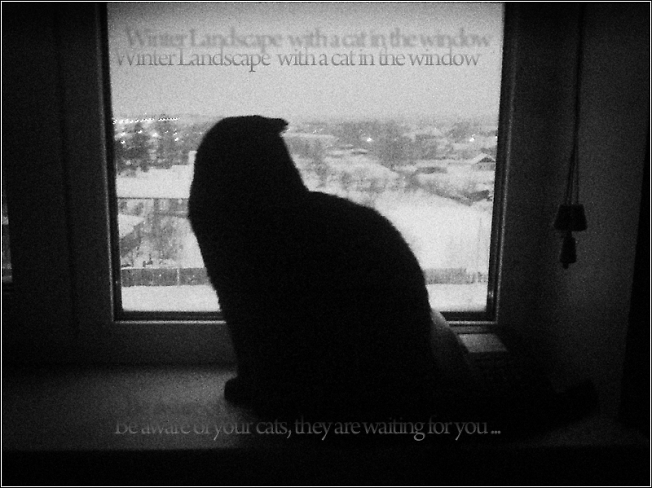 Winter Landscape with a cat in the window