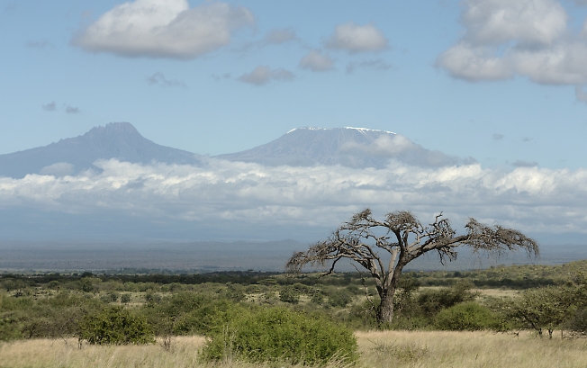 Кения." Килиманджаро"
