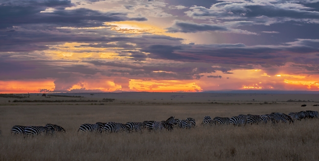 Кения на закате сонца