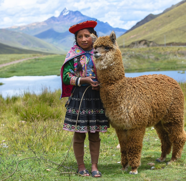"Молодая пастушка" Перу.