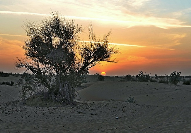 Закат в пустыне зимой