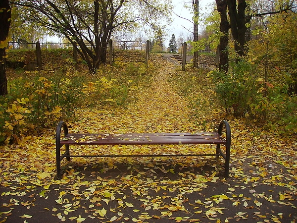  Осенняя скамейка.